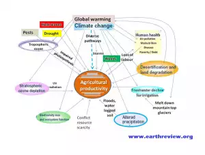 climate-change-impact-on-crop-production