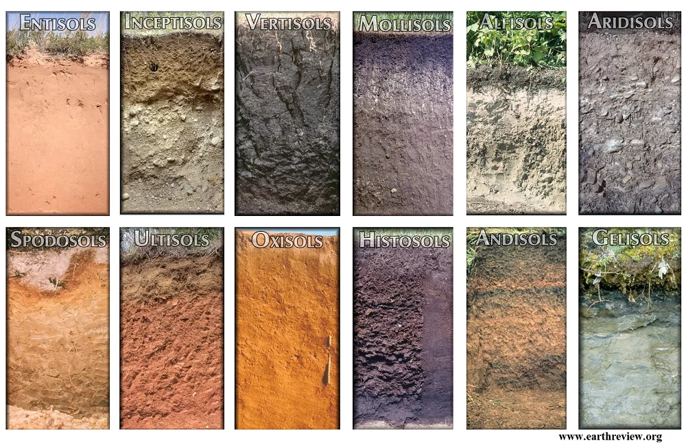 Soil Orders in Soil Taxonomy
