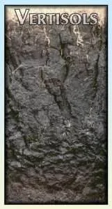 VERTISOLS