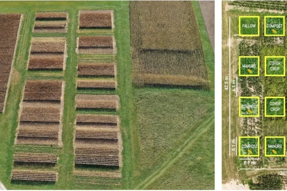 Long-Term No-Till Experiments